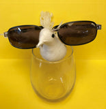 New Men's SLAZENGER Sunglasses SL304 TwoTone Polish Frame England Lens Italy ~ SALE! Discounted closeout Price!